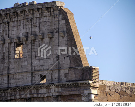 Bird Flying Past the Colosseum Ruins in Rome Italy 142938934