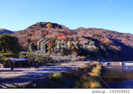 秋の嵐山（京都市右京区）の風景 142939432