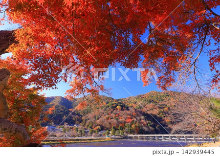 秋の嵐山(京都市右京区)の風景 秋の嵐山(京都市右京区)の風景 142939445