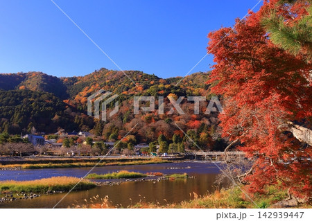 秋の嵐山(京都市右京区)の風景 秋の嵐山(京都市右京区)の風景 142939447
