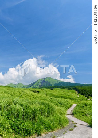 青空に白い入道雲が広がる夏空のもと緑豊かな大草原が広がる阿蘇の草千里ヶ浜の風景 142939766