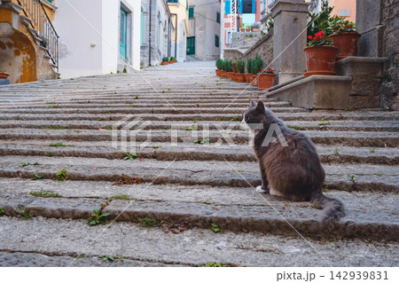 Old Town Labin Historic Streets Croatia Old Town Labin Historic Streets Croatia 142939831