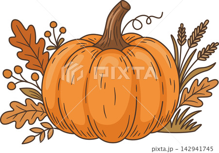 Cute Orange Pumpkin Illustration, Thanksgiving Pumpkin with Oak Leaves and Wheat Harvest Clipart Isolated for Autumn Decor, Sticker, and Craft Design 142941745
