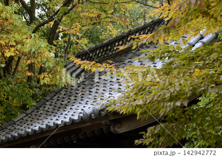 屋根と紅葉 142942772