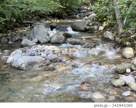 Clear mountain stream flowing among rocks through forest Clear mountain stream flowing among rocks through forest 142943260