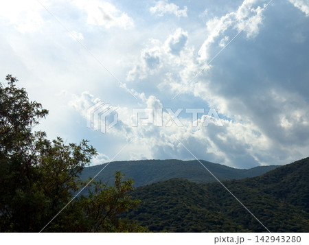 Forested mountains beneath luminous dramatic cloudy summer sky 142943280
