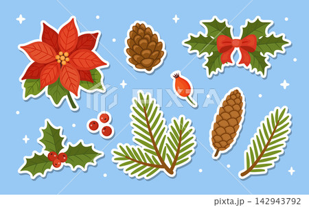 Christmas Floral Sticker Pack Elements Hand Drawn Flat Vector Set 142943792