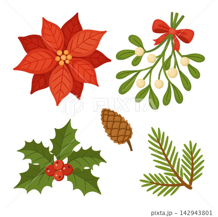 Christmas Floral Elements Set Hand Drawn Flat Vector Decoration 142943801