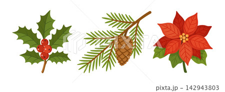 Christmas Floral Elements Set Hand Drawn Flat Vector Decoration 142943803