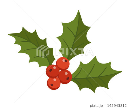 Hand Drawn Christmas Holly Berry Vector Element Red Winter Sweets Hand Drawn Christmas Holly Berry Vector Element Red Winter Sweets 142943812