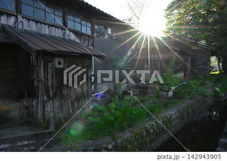 新緑に包まれた郷屋川沿いの街並み（新潟県五泉市） 142943905