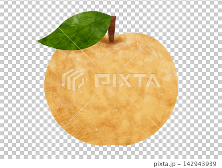 Watercolor illustration of a Japanese pear with leaves, on a white background with transparency. Watercolor illustration of a Japanese pear with leaves, on a white background with transparency. 142943939