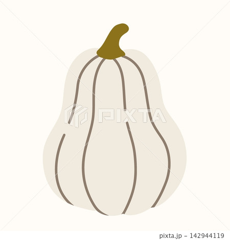White elongated pumpkin vector outline illustration, tall ribbed squash with olive stem, autumn harvest vegetable, elegant rustic botanical line art White elongated pumpkin vector outline illustration, tall ribbed squash with olive stem, autumn harvest vegetable, elegant rustic botanical line art 142944119