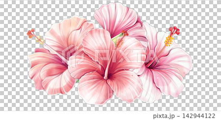 Hibiscus floral composition watercolor tropical blossom bouquet, arrangement Hibiscus floral composition watercolor tropical blossom bouquet, arrangement 142944122