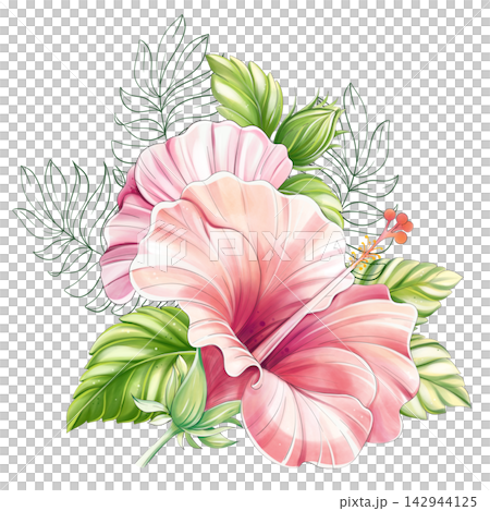 Tropical hibiscus floral arrangement with palm leaves watercolor clipart isolated Tropical hibiscus floral arrangement with palm leaves watercolor clipart isolated 142944125