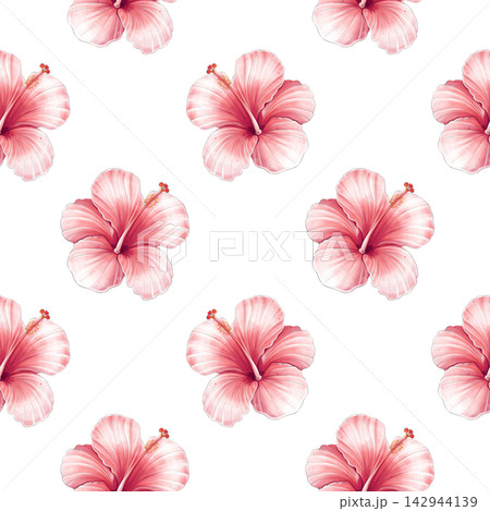Hibiscus seamless pattern, watercolor tropical background with red flowers 142944139