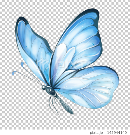 Blue butterfly watercolor illustration clipart isolated Blue butterfly watercolor illustration clipart isolated 142944140