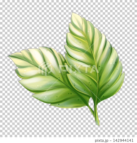 Green fresh leaf watercolor botanical clipart isolated 142944141