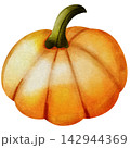 halloween 142944369