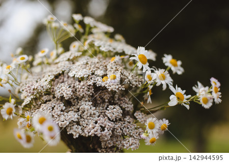 Wild flowers in a sunny day. Flower field in sunlight, spring or summer garden background. flowers meadow field in morning light. flowers in meadow on warm summer morning with blurred background. Wild flowers in a sunny day. Flower field in sunlight, spring or summer garden background. flowers meadow field in morning light. flowers in meadow on warm summer morning with blurred background. 142944595