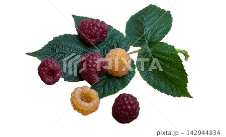 Fresh red and yellow raspberries with green leaves isolated on white background 142944834