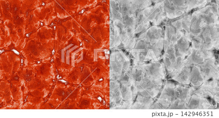 Marbled Meat and Shading Map Comparison Marbled Meat and Shading Map Comparison 142946351