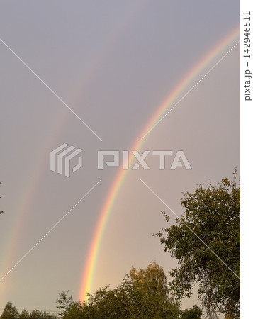Double rainbow stretching across a soft pastel sky above tree silhouettes 142946511