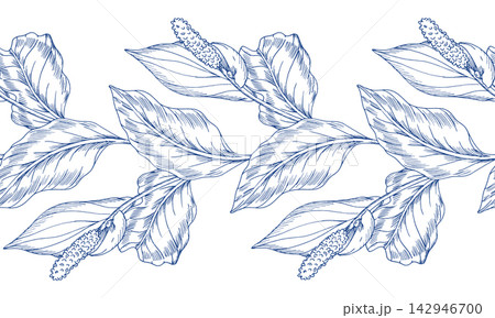 Seamless border of the tropical flowers. Spathiphyllum flower. Handmade ink illustration. For design of cards, cover, prints, product labels and fabric. Seamless border of the tropical flowers. Spathiphyllum flower. Handmade ink illustration. For design of cards, cover, prints, product labels and fabric. 142946700