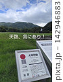 大宰府政庁跡の天啓 142946883