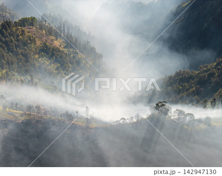 Aerial Bromo Highland Forested Slopes Shrouded in Mist 142947130