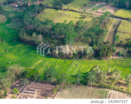 Lush green fields stretch across rolling hills Lush green fields stretch across rolling hills 142947327