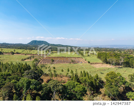 Breathtaking pastoral panorama: endless emerald fields 142947387