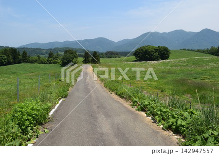 山岳道路 山形県庄内 山岳道路 山形県庄内 142947557
