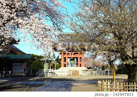 大田区にある池上本門寺 大田区にある池上本門寺 142947853