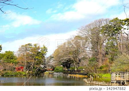 大田区南千束にある洗足池公園 大田区南千束にある洗足池公園 142947882