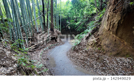 小野路の関屋の切り通し - 東京都町田市, 日本 小野路の関屋の切り通し - 東京都町田市, 日本 142949029
