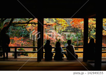 福岡県太宰府市・光明禅寺の縁側から美しい秋の紅葉庭園を眺める人々のシルエット 福岡県太宰府市・光明禅寺の縁側から美しい秋の紅葉庭園を眺める人々のシルエット 142949155