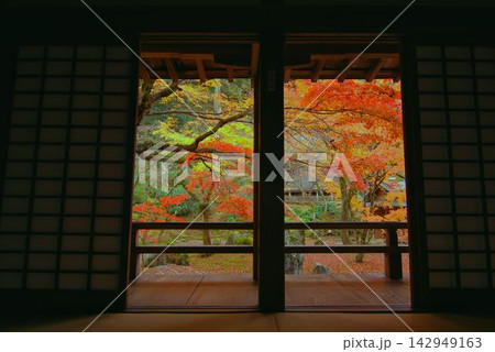 福岡県太宰府市・光明禅寺の暗い室内から障子越しに眺める美しい秋の紅葉庭園 福岡県太宰府市・光明禅寺の暗い室内から障子越しに眺める美しい秋の紅葉庭園 142949163