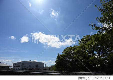 真夏の太陽が輝く広大な青空と青々とした木々の緑 真夏の太陽が輝く広大な青空と青々とした木々の緑 142949424