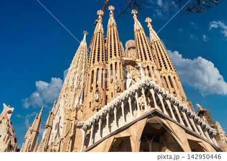 Sagrada Familia Basilica in Barcelona, Spain Sagrada Familia Basilica in Barcelona, Spain 142950446