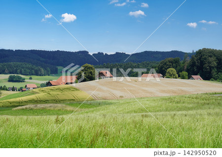 Idyllic European countryside landscape with rolling hills, farmland, and a small village under a blue sky. Idyllic European countryside landscape with rolling hills, farmland, and a small village under a blue sky. 142950520