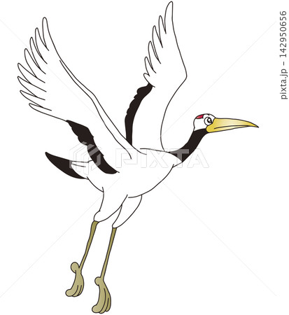 手書き鳥イラスト☆タンチョウヅル 手書き鳥イラスト☆タンチョウヅル 142950656