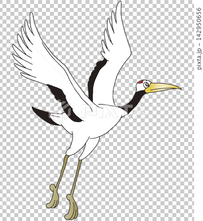 手書き鳥イラスト☆タンチョウヅル 手書き鳥イラスト☆タンチョウヅル 142950656