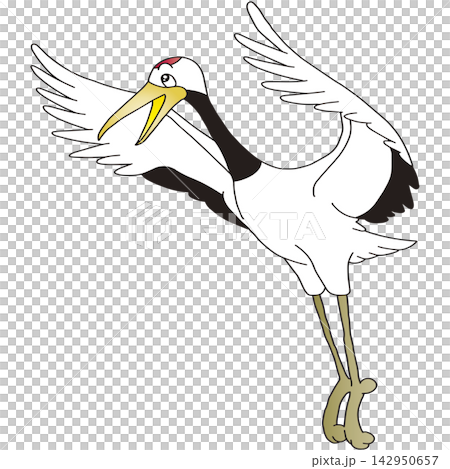 手書き鳥イラスト☆タンチョウヅル 手書き鳥イラスト☆タンチョウヅル 142950657