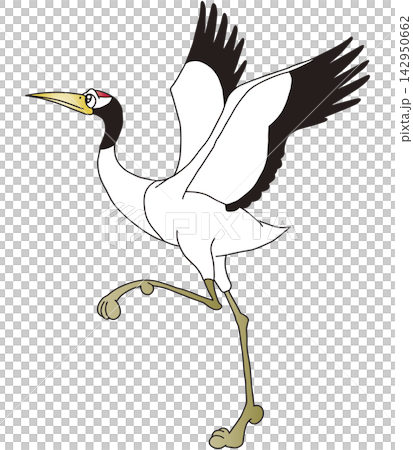 手繪鳥類插畫 ☆ 丹頂鶴 手繪鳥類插畫 ☆ 丹頂鶴 142950662
