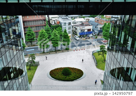 大学キャンパスの広場と周辺の街並み 大学キャンパスの広場と周辺の街並み 142950797