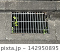 排水溝とコンクリートの隙間から生える雑草 142950895