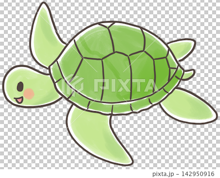 Cute swimming sea turtle Cute swimming sea turtle 142950916