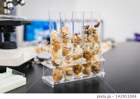 Glass test tubes filled with rock and mineral samples in a clear rack beside a microscope in a modern science laboratory. 142951004