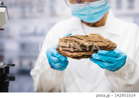 Masked laboratory scientist wearing blue gloves examines a layered brown rock specimen in a research lab. 142951014